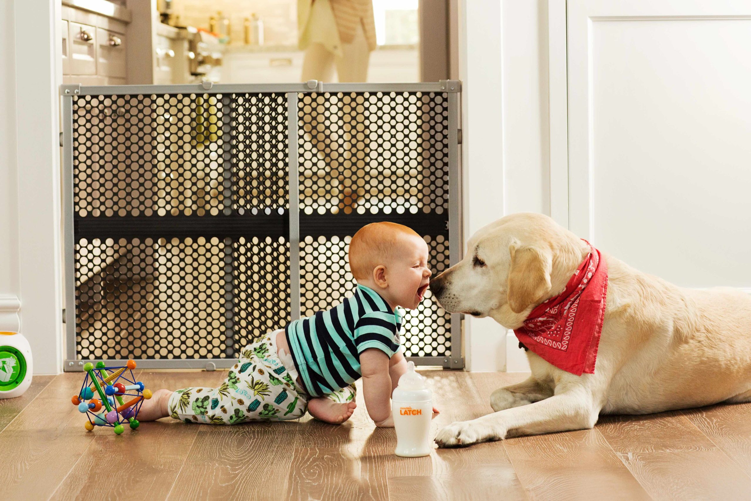 baby and dog by a gate