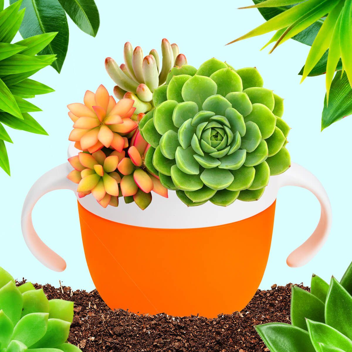 Orange and pink bowl with handles containing green succulents and orange flowering plants, surrounded by green foliage and soil against a light blue background.