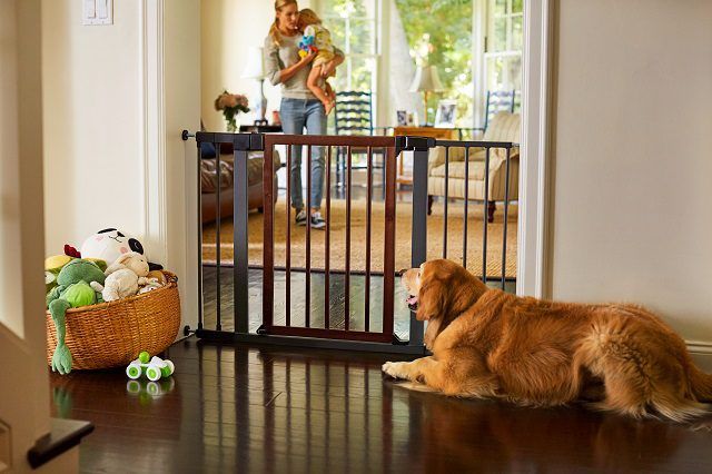 How To Chose the Right Baby Gate